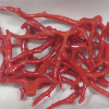 Raw Natural Red Coral Moonga Branch Pieces Wholesale Lot for Carving & Beads