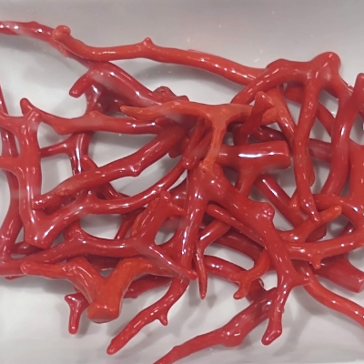 Raw Natural Red Coral Moonga Branch Pieces Wholesale Lot for Carving & Beads