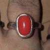 Red Coral Moonga Ring in 925 Sterling Silver with Italian Oval Cabochon 7 Ratti